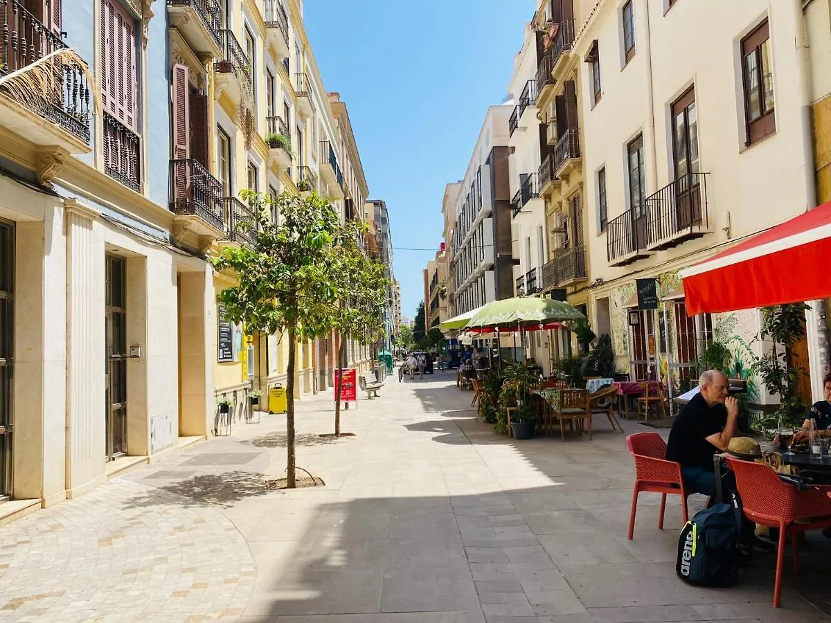Soho Amplio Apartamento En El Centro De La Malaga Spain